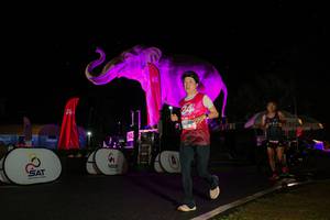 BIB: 
                            <button type="button" onclick="openModal(26543578)" class="btn btn-primary btn-sm float-right btn-popup" data-toggle="modal" data-target=".modal-high-quality">
                        <i class="fas fa-shopping-cart"></i> Add to Cart
                    </button>
                                            <button type="button" onclick="isThisMe(26543578, true)" class="btn btn-success btn-sm float-right btn-popup btn-isme hidden" data-toggle="tooltip" data-placement="bottom" title="นี่คือรูปของคุณใช่ไหม คลิกที่นี่เพื่อเอาเข้าอัลบั้ม">
                        <i class="fas fa-plus"></i> Add to album
                    </button>
                    <button type="button" onclick="isThisMe(26543578, false)" class="btn btn-warning btn-sm float-right btn-popup btn-isnotme hidden">
                        <i class="fas fa-ban"></i> Remove from album
                    </button>